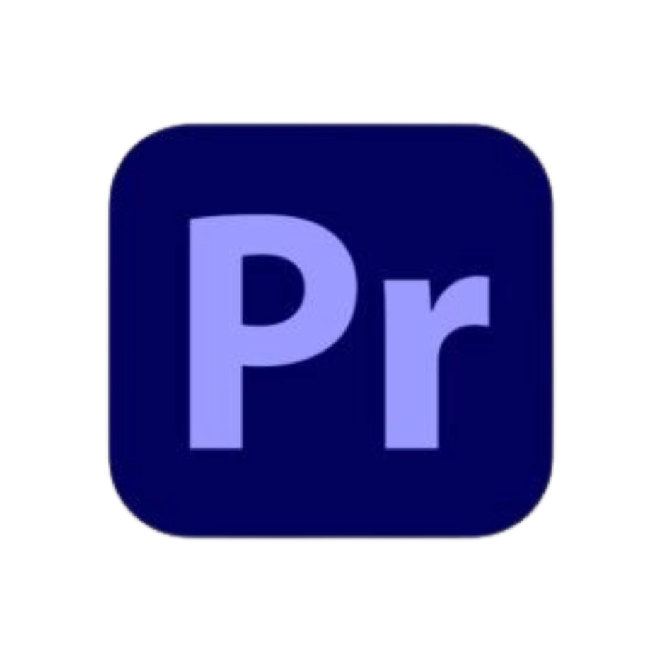 digital marketing consultant