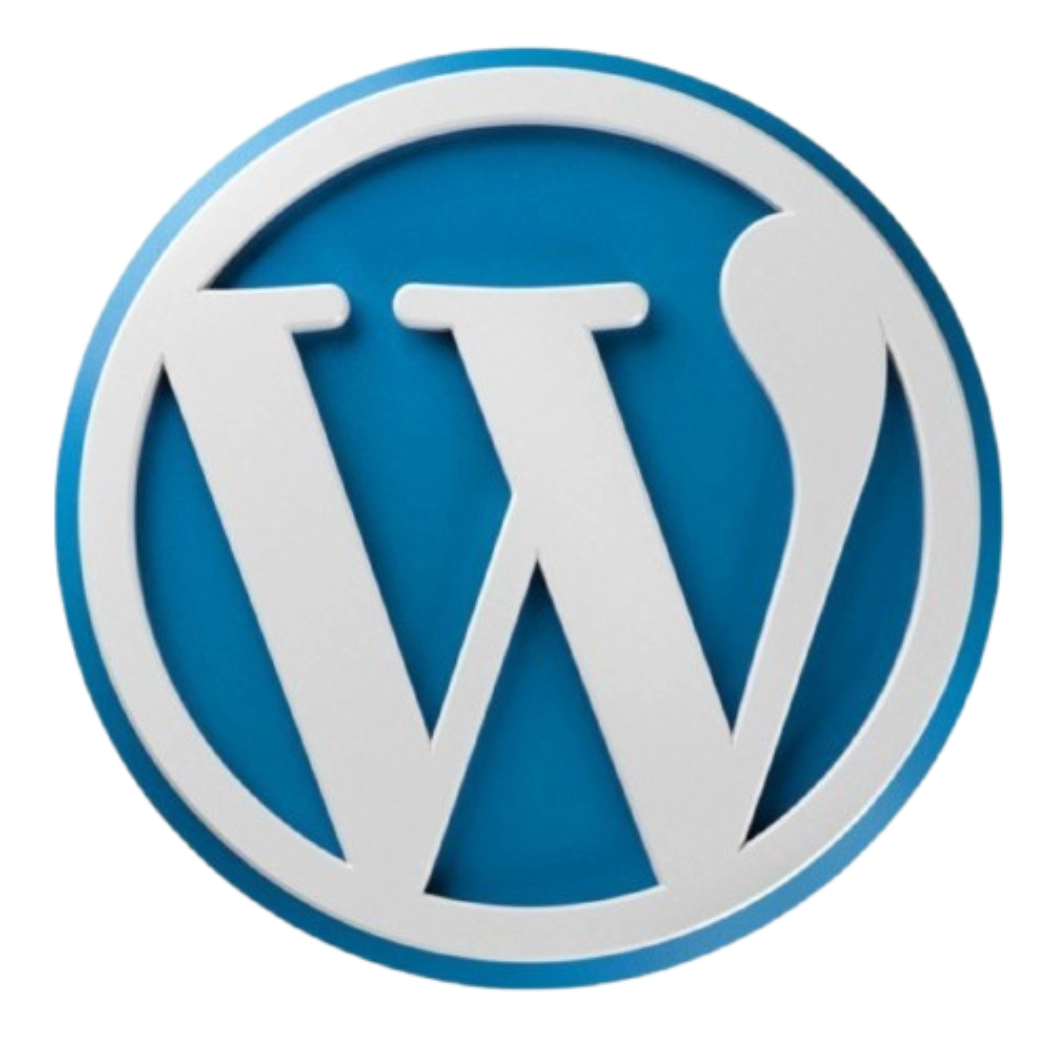 digital marketing expert